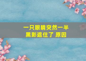 一只眼睛突然一半黑影遮住了 原因